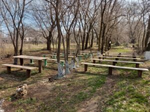 Общее собрание 31.05.2026 г. в 9-00 возле въезда на территорию общества состоится общее собрание садоводов