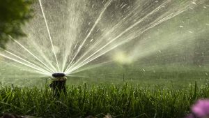 График полива с 6 июня 2026 года